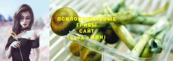индика Беломорск
