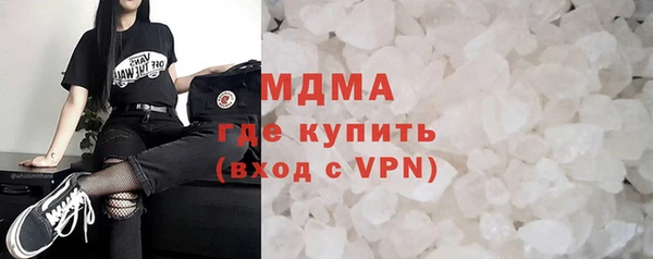 прущие грибы Балабаново