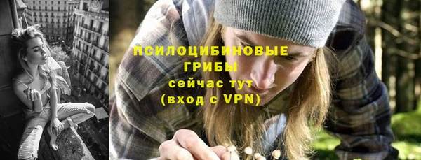 индика Беломорск