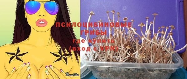 индика Беломорск
