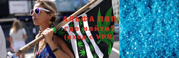 индика Беломорск