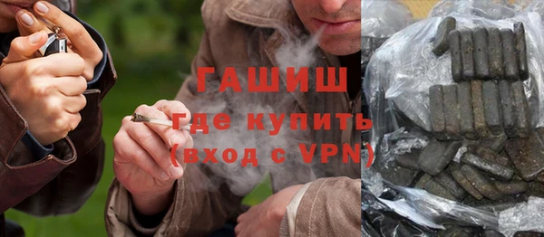 индика Беломорск