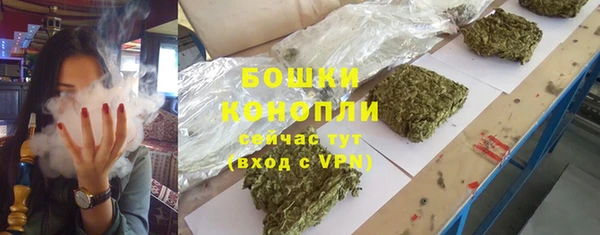 индика Беломорск