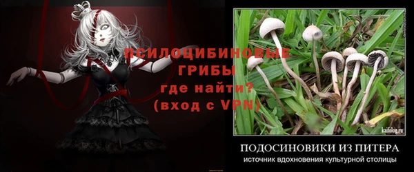 индика Беломорск